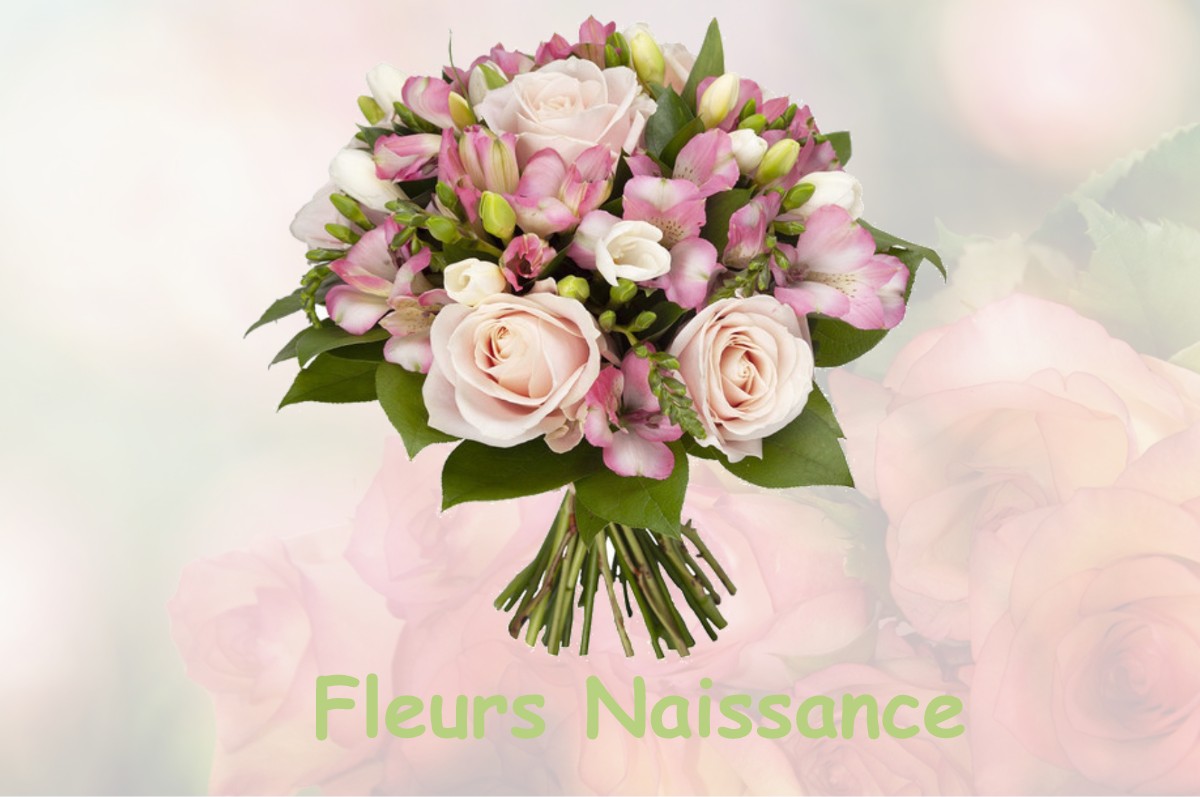 fleurs naissance GRANCEY-SUR-OURCE